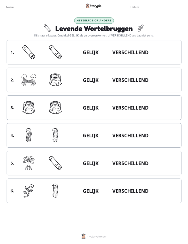 Zelfde of Verschillend