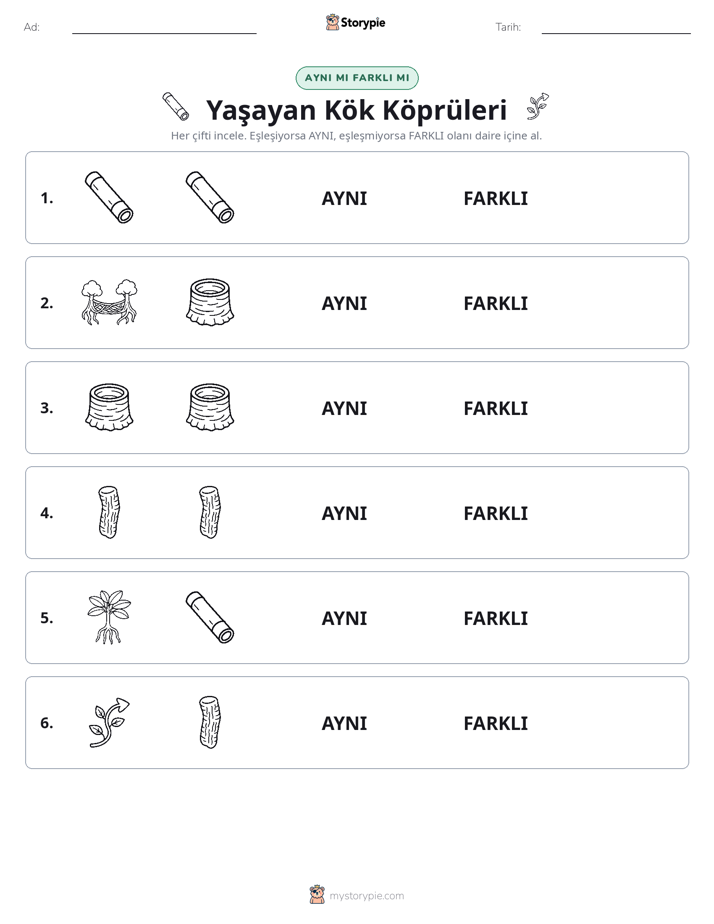 Aynı mı Farklı mı
