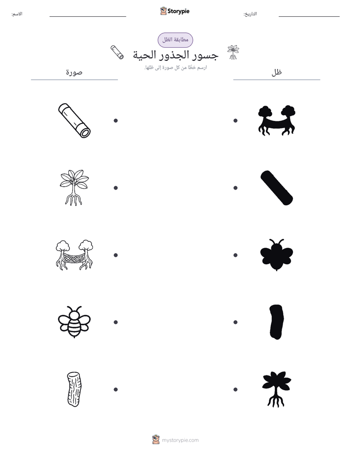 مطابقة الظل