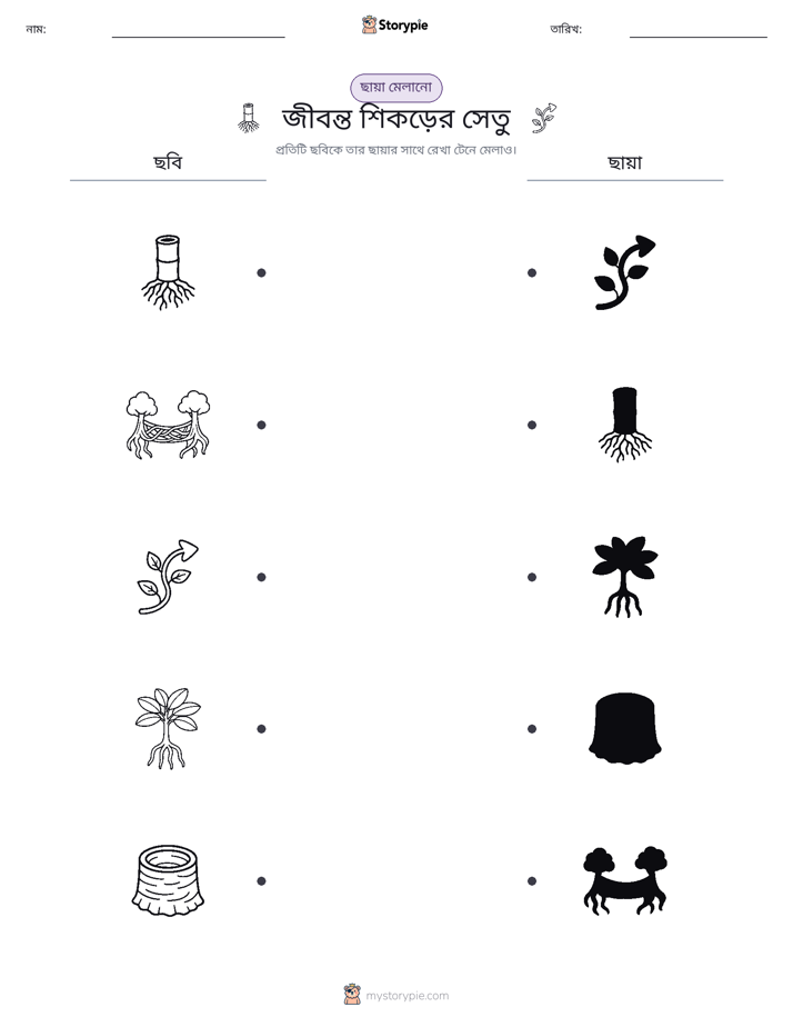 ছায়া মেলানো