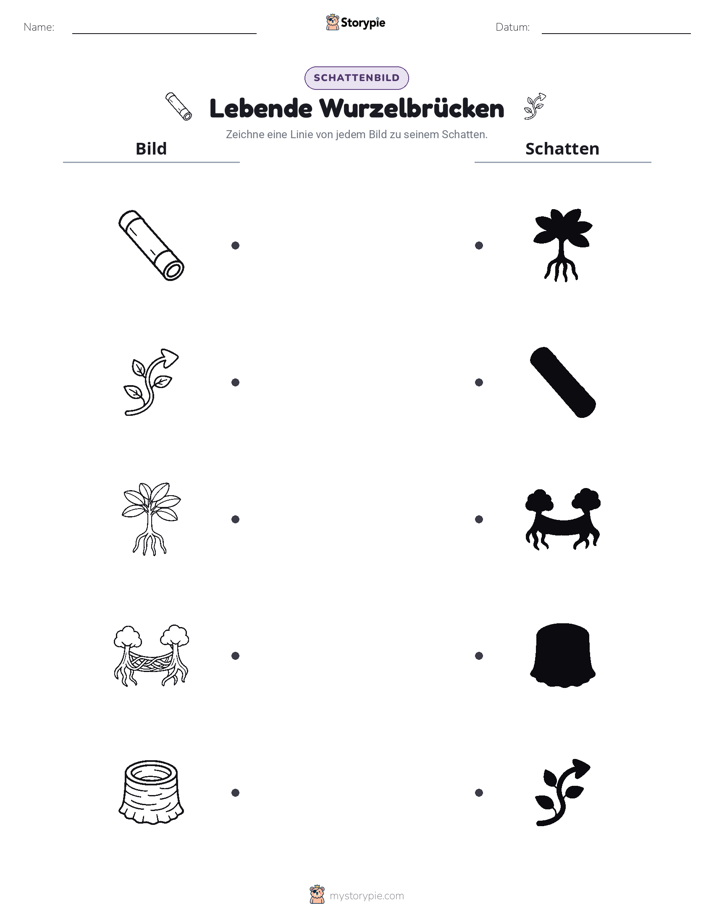 Schattenmatch