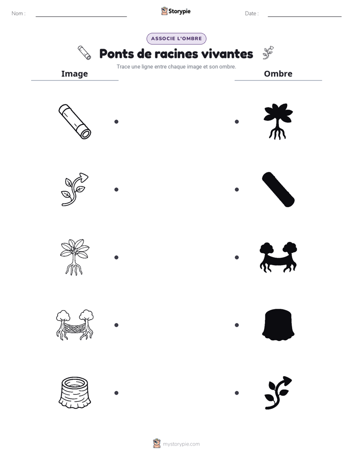 Correspondance d'Ombres