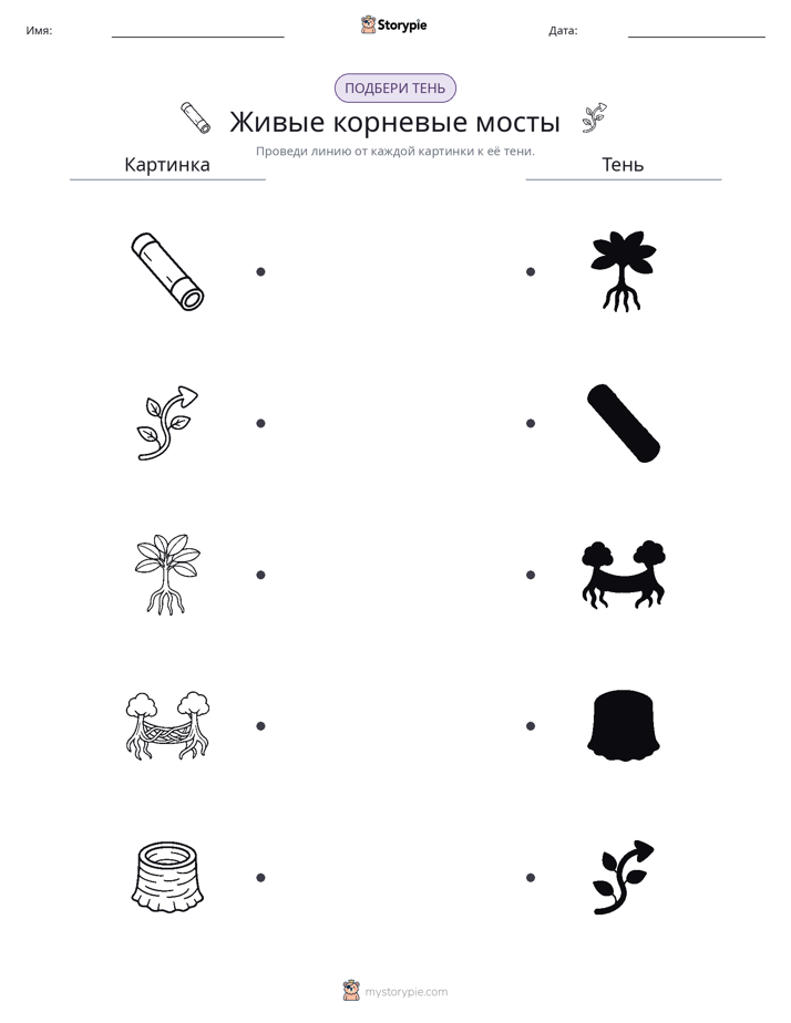 Сопоставление теней