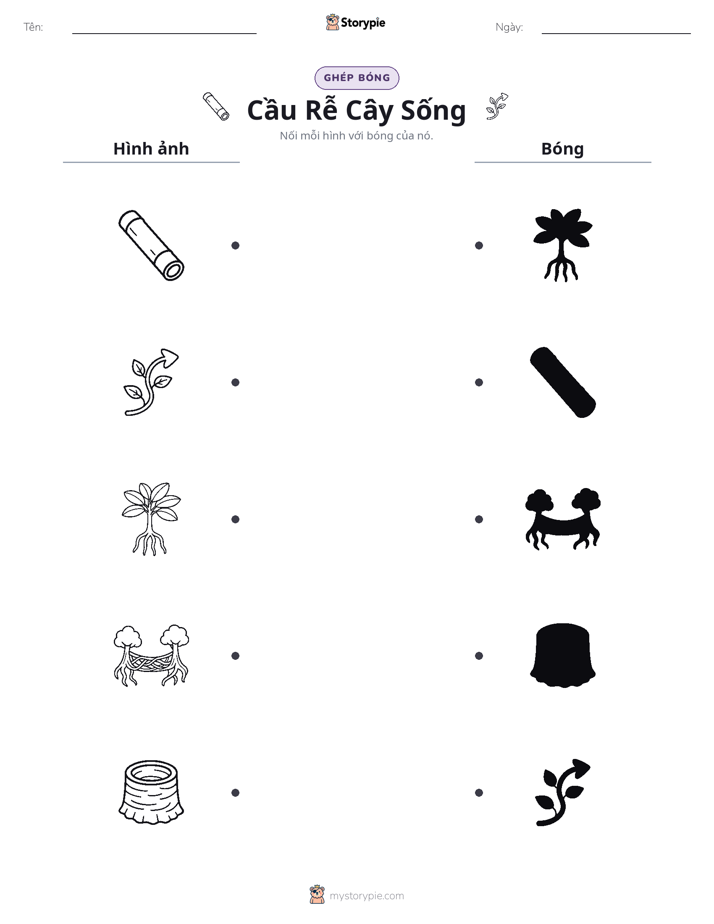 Ghép Hình Bóng