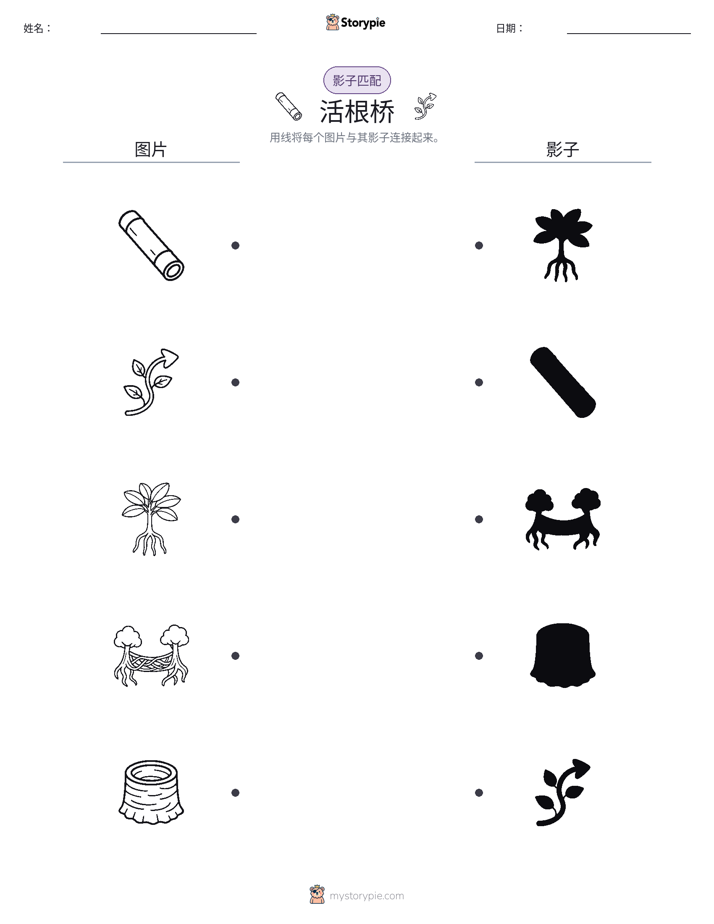 影子匹配
