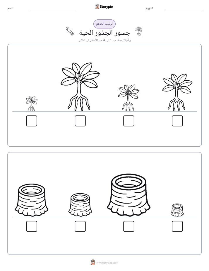 ترتيب الحجم