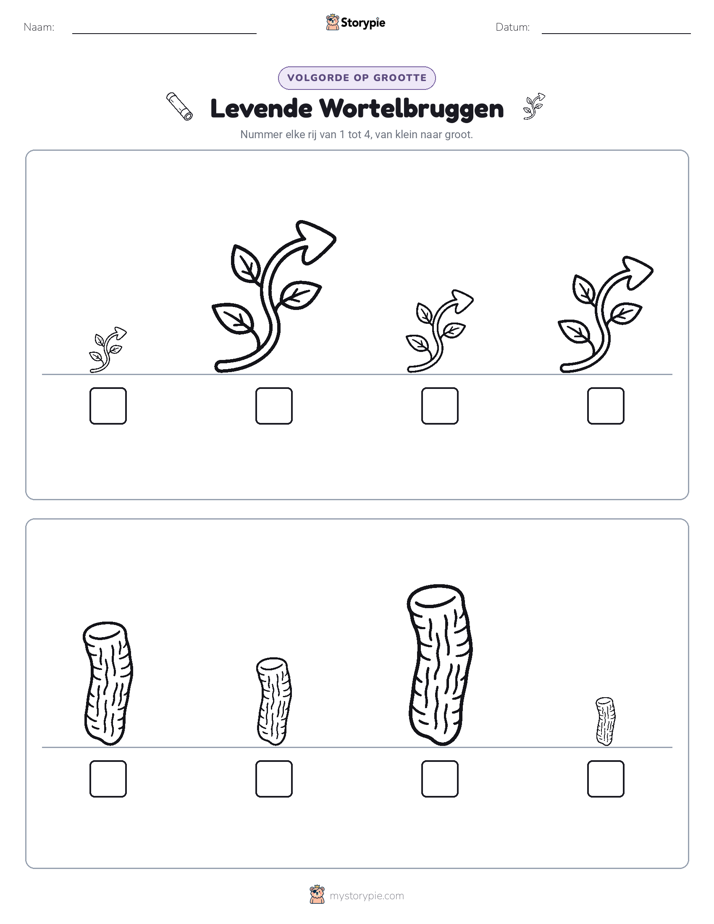 Grootte Volgorde