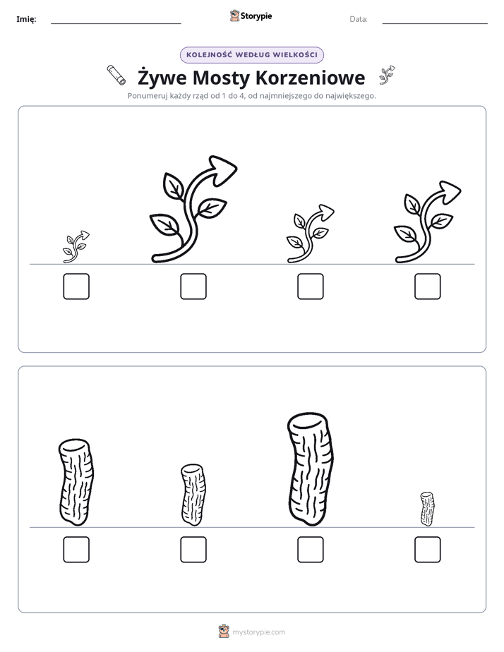 Porządek rozmiarów