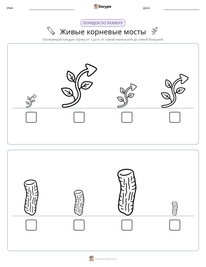 Размеры в порядке