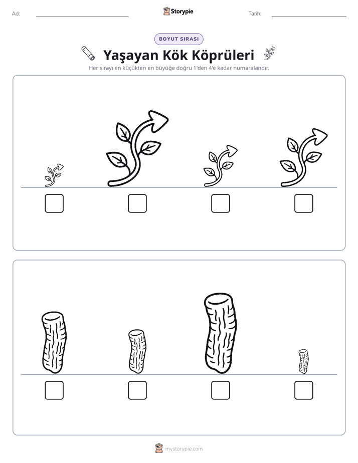 Boy Sıralaması