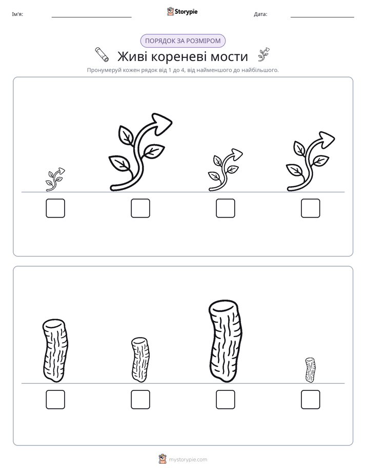 Порядок Розміру