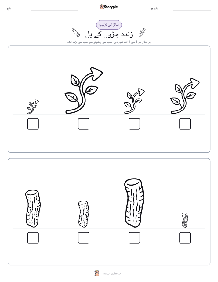 سائز کی ترتیب