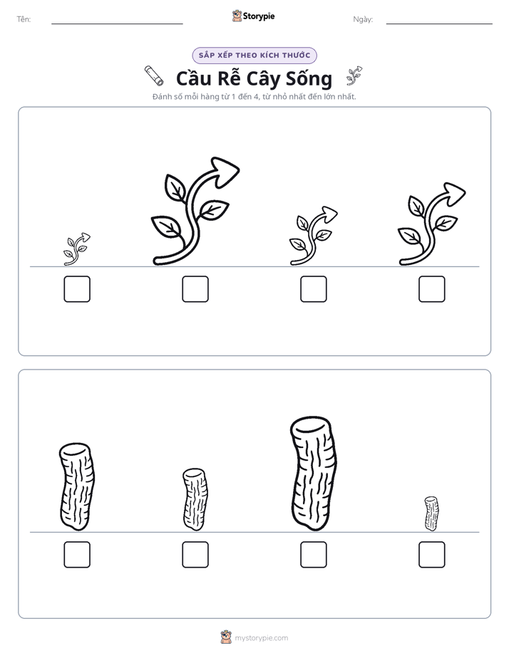 Thứ Tự Kích Thước