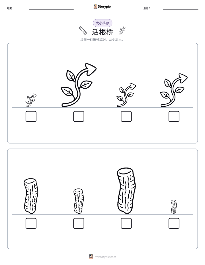 大小排序