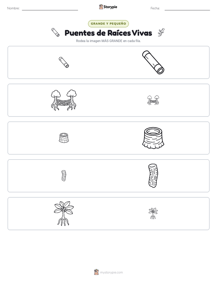Clasificación