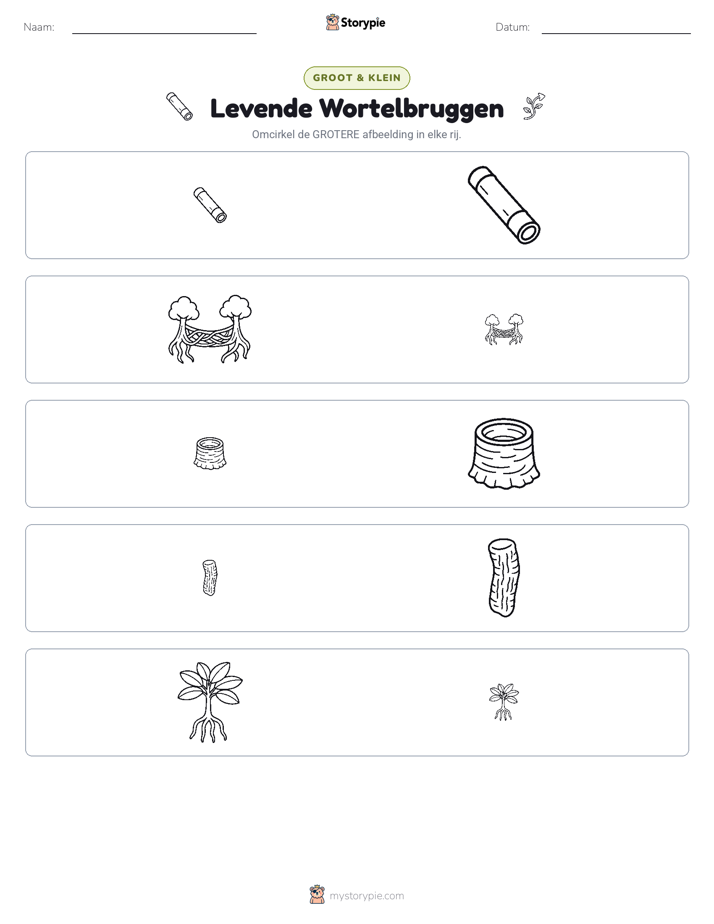 Sorteren