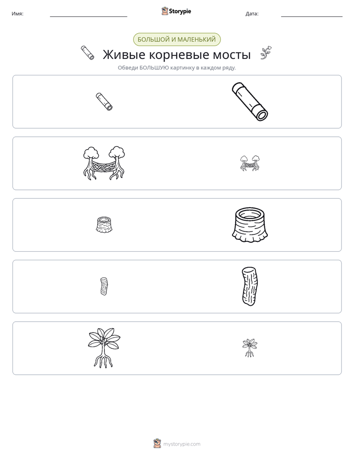 Сортировка