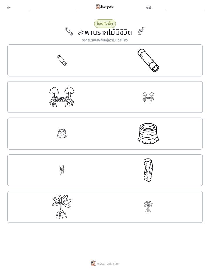 การจัดเรียง