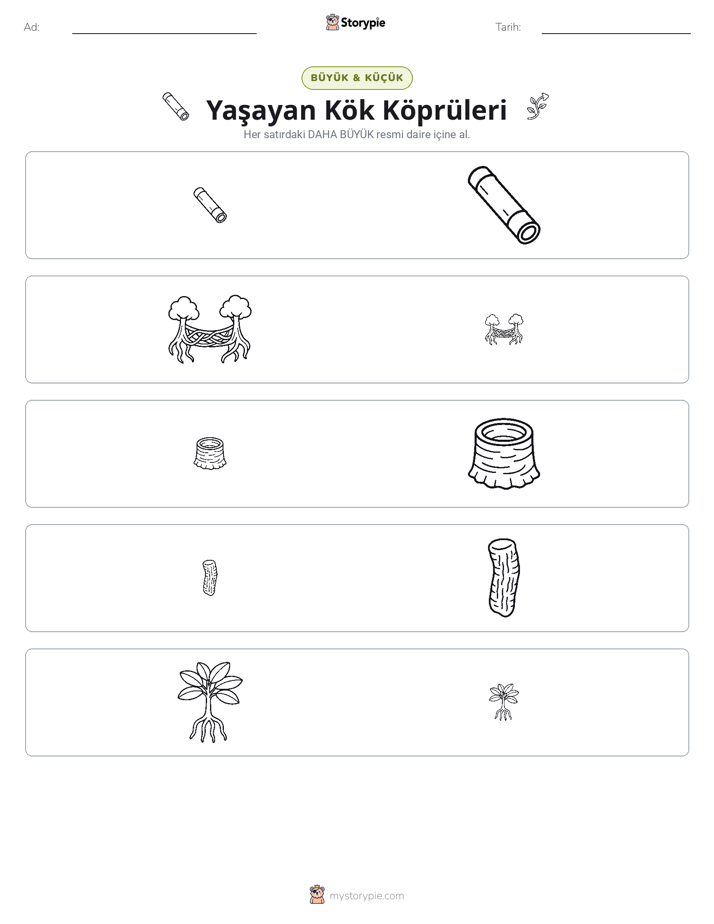 Sıralama