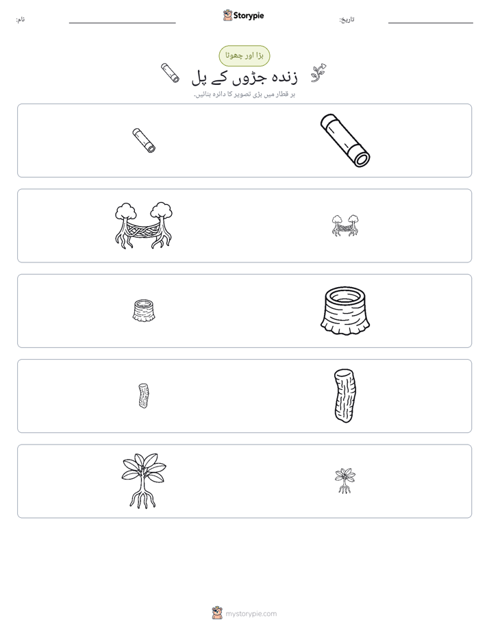 ترتیب دینا