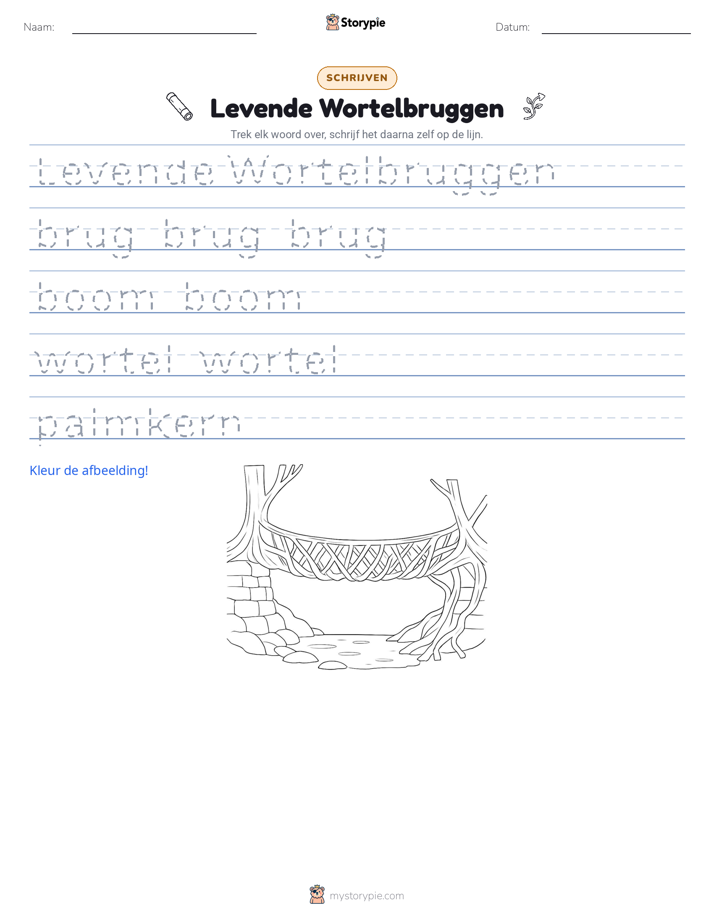 Schrijf Oefening