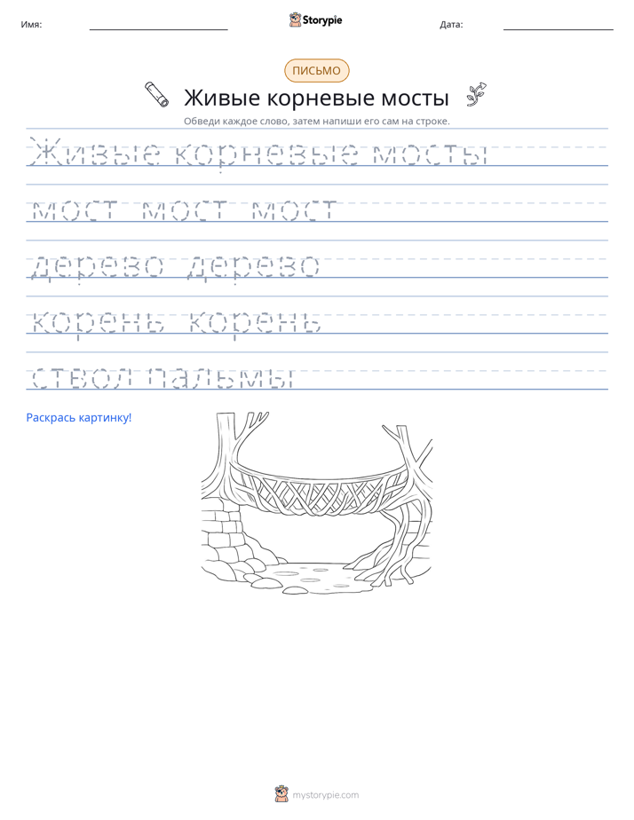 Практика письма
