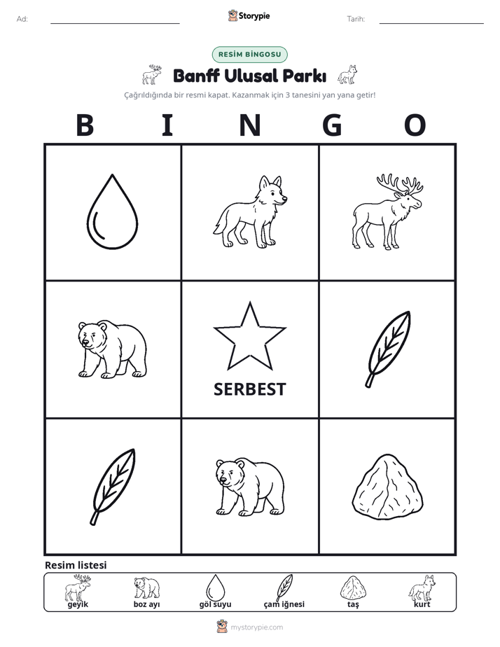 Resim Bingo