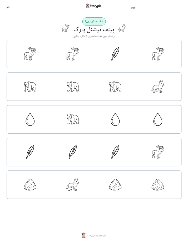عجیب ایک