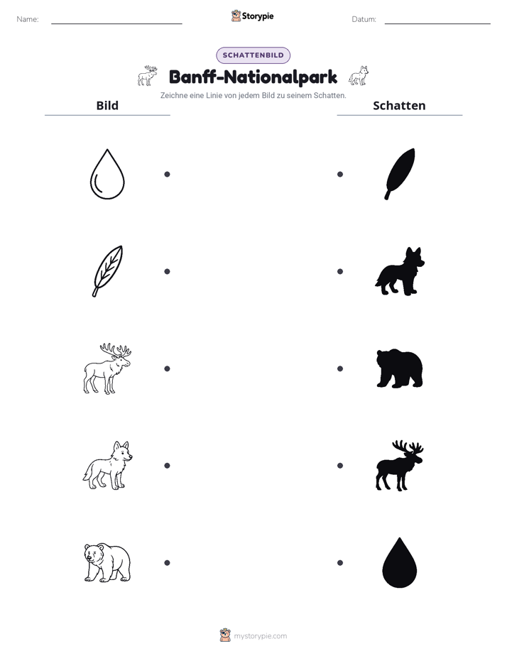 Schattenmatch