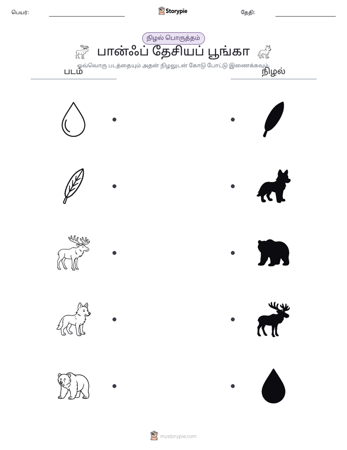 நிழல் பொருத்தம்
