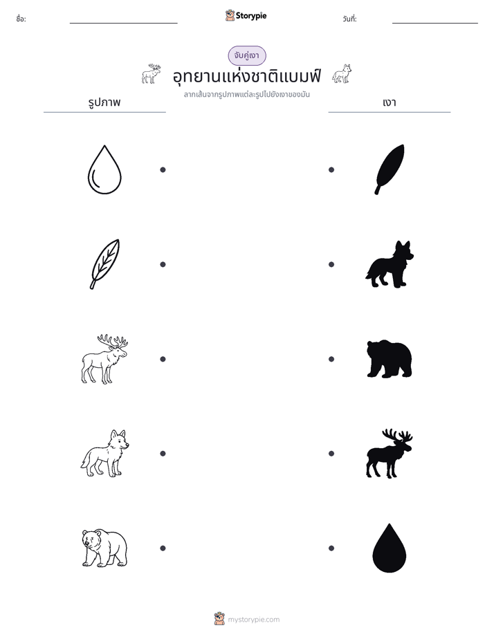 จับคู่เงา