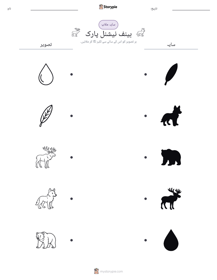 سایہ ملائیں