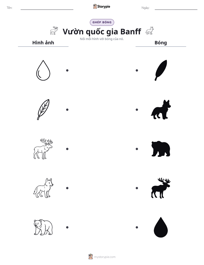 Ghép Hình Bóng