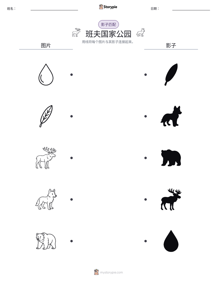 影子匹配