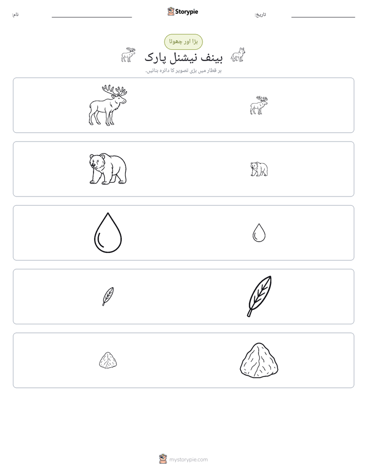 ترتیب دینا