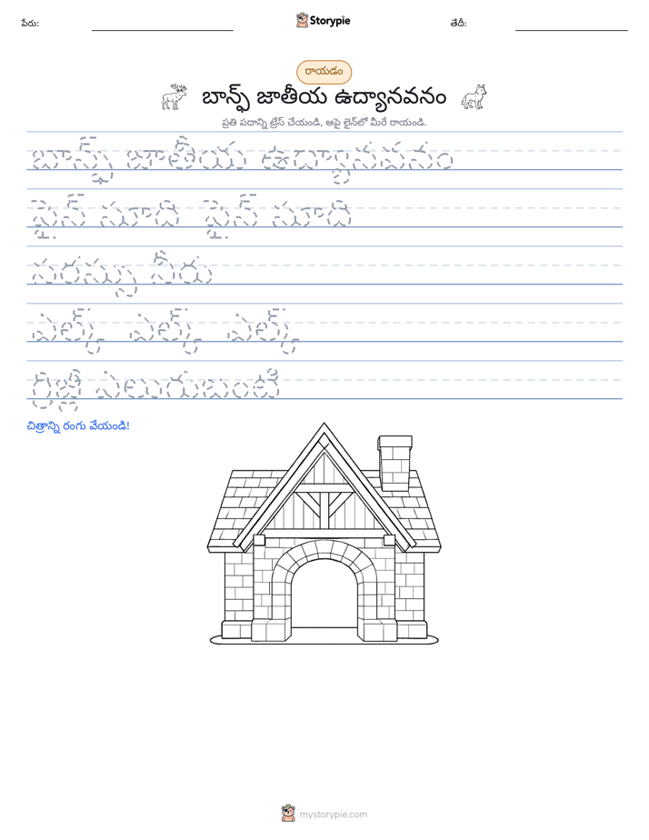 రాయడం సాధన