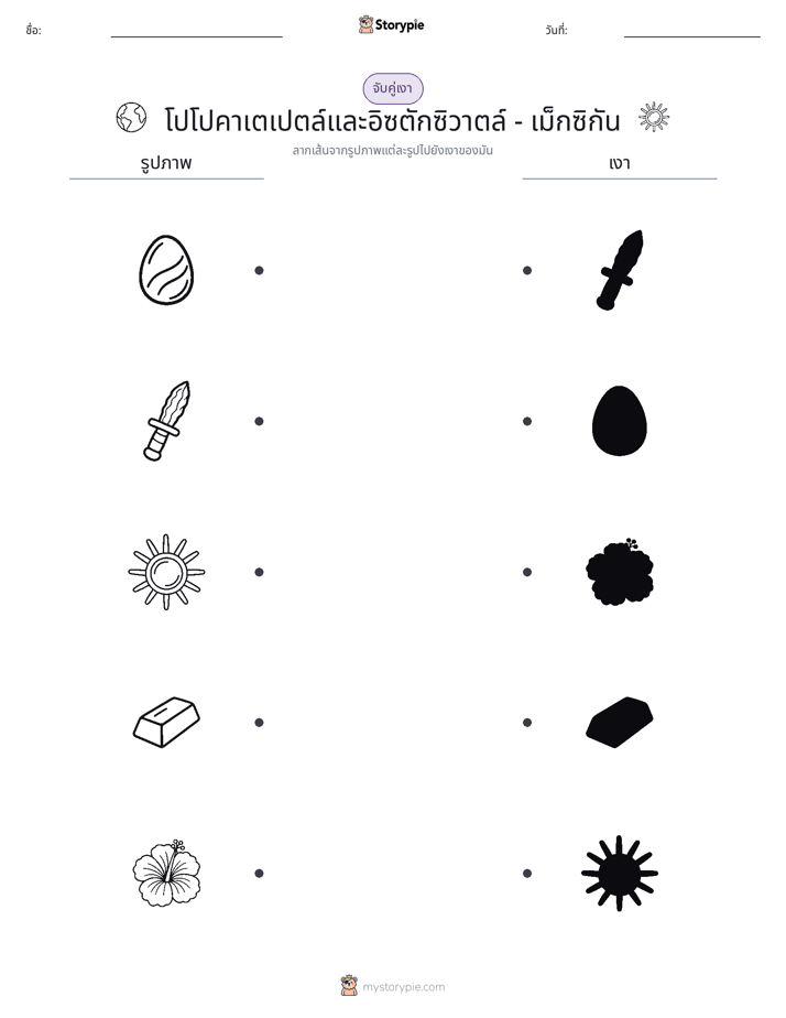 จับคู่เงา
