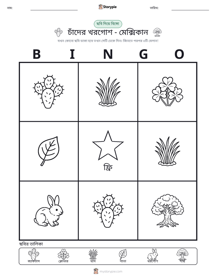 ছবি বিঙ্গো