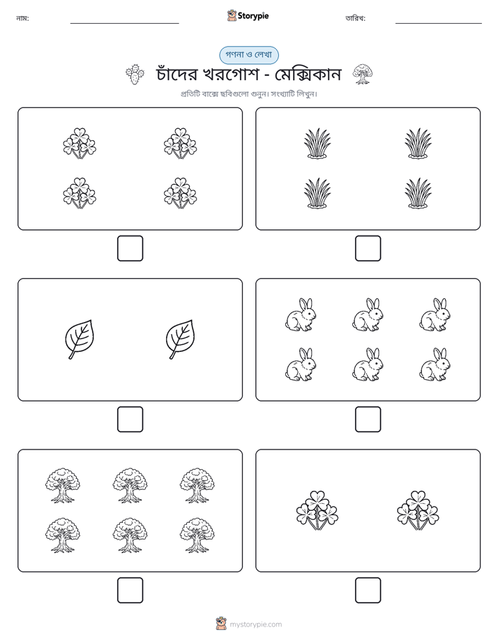 গণনা & লিখুন