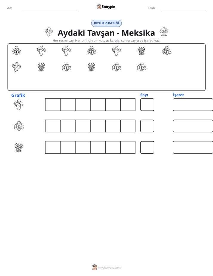 Say & Grafik