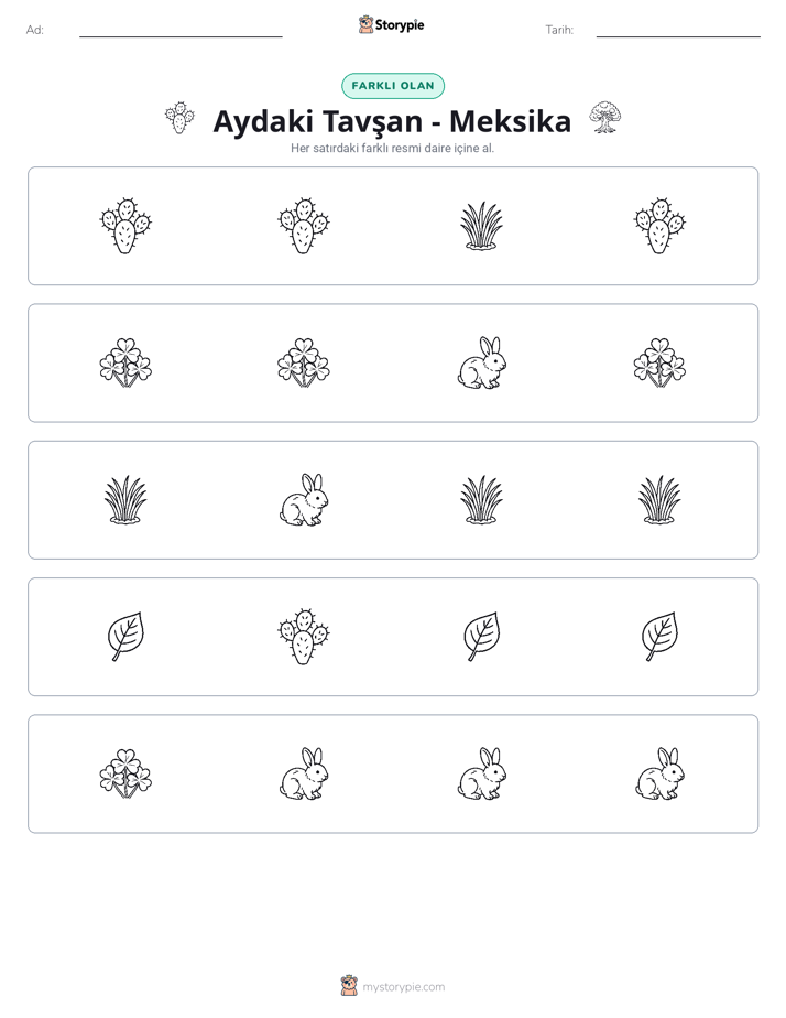 Farklı Olanı Bul
