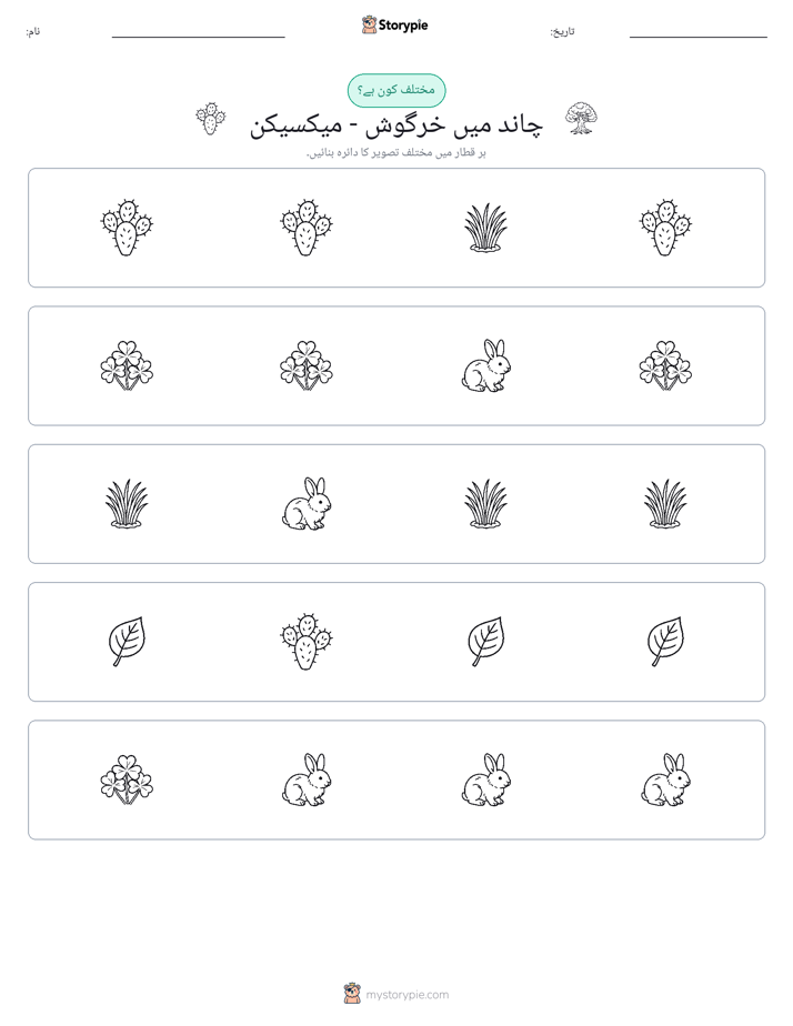 عجیب ایک