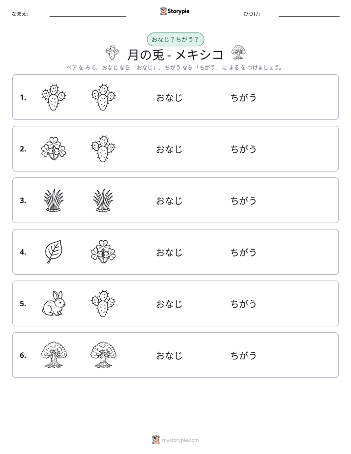同じか違うか