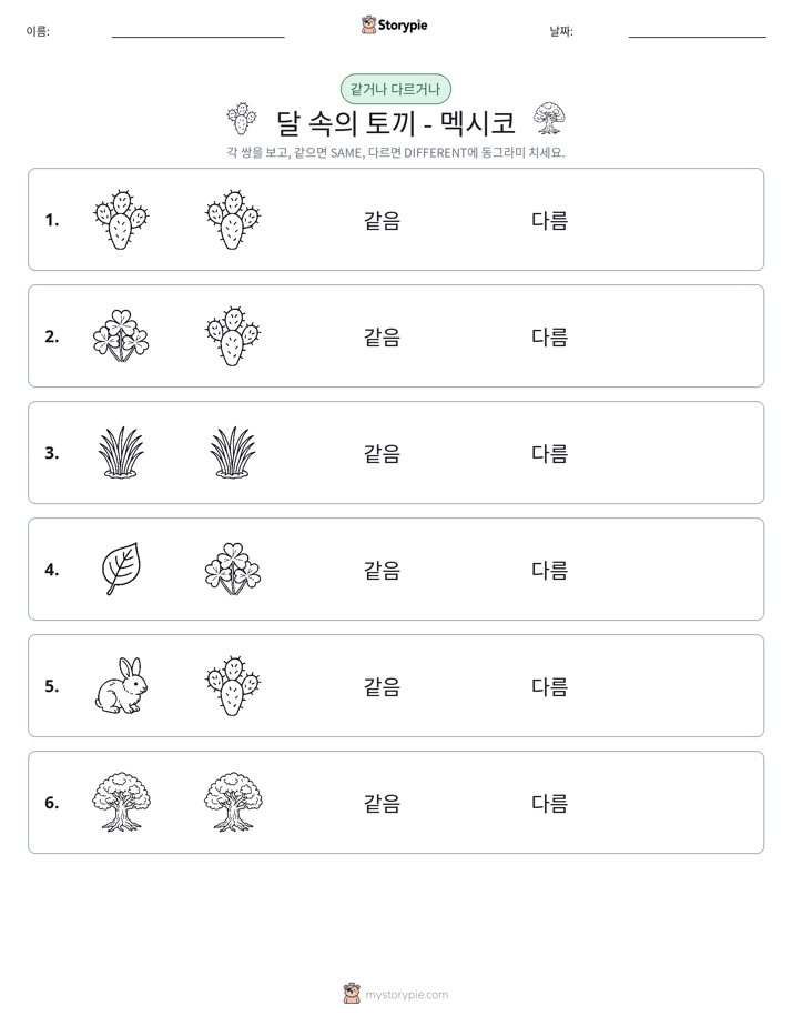 같은 것 또는 다른 것