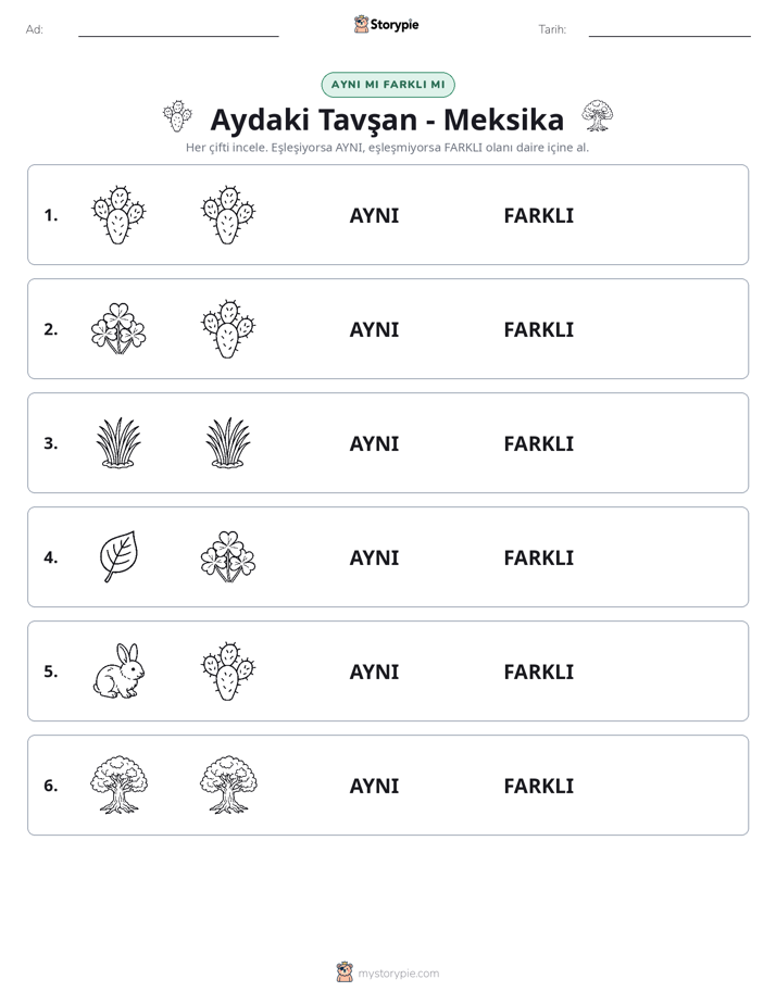 Aynı mı Farklı mı