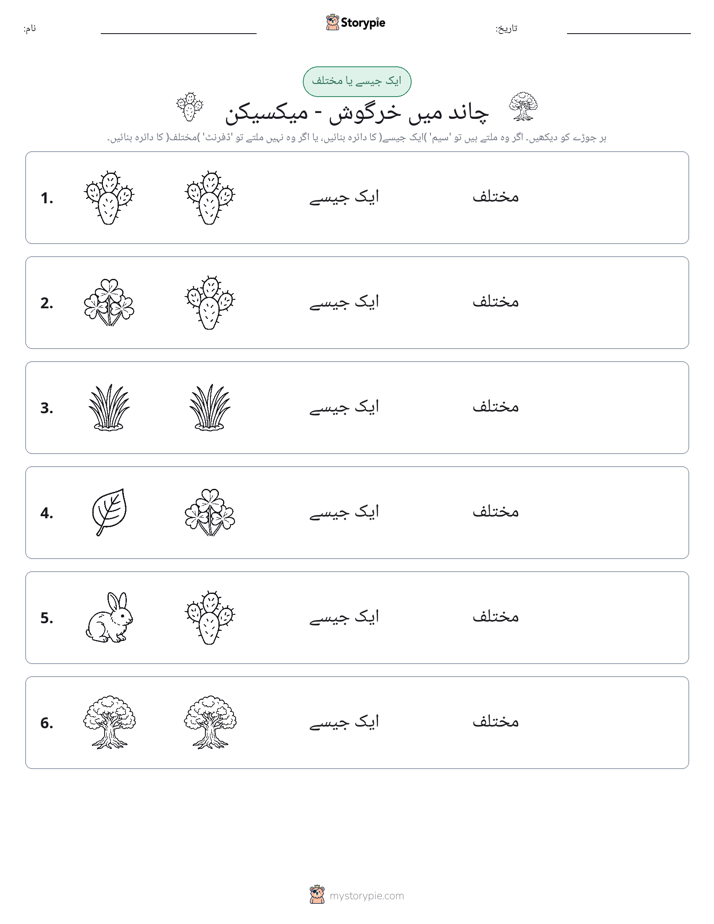 ایک جیسا یا مختلف