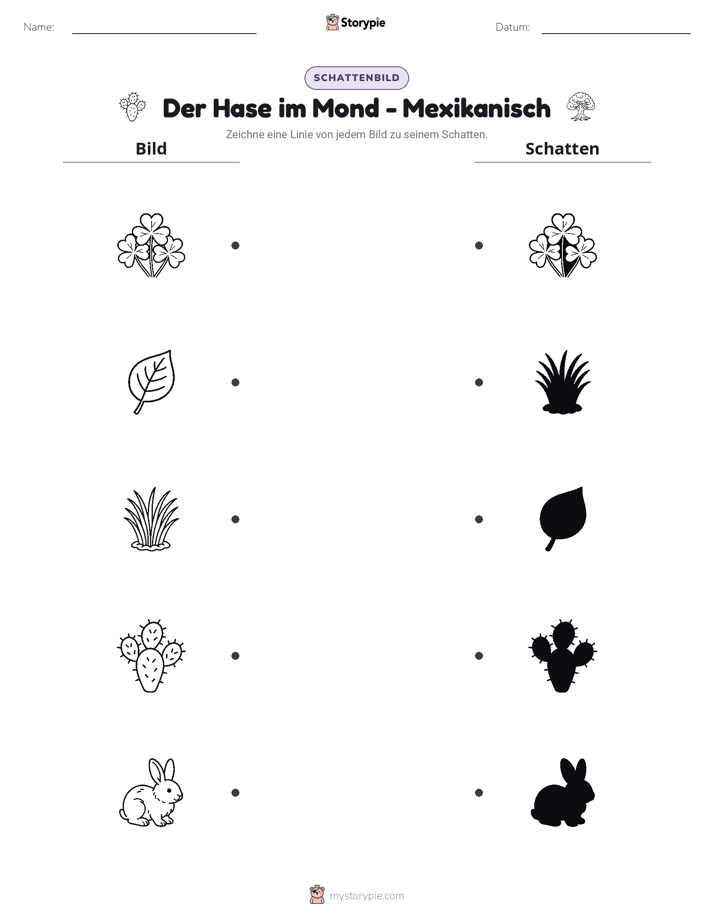 Schattenmatch