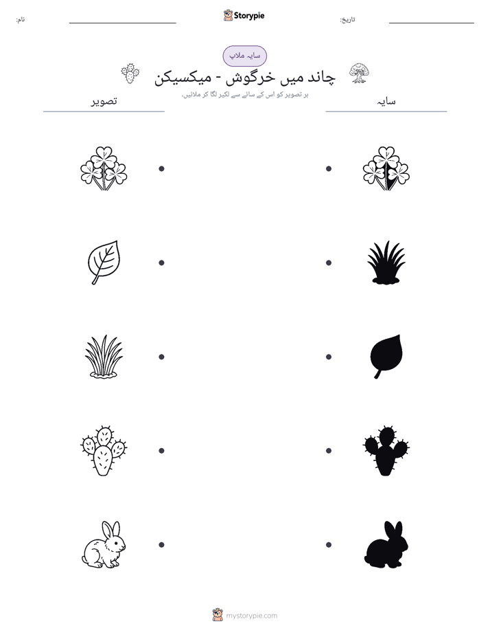 سایہ ملائیں