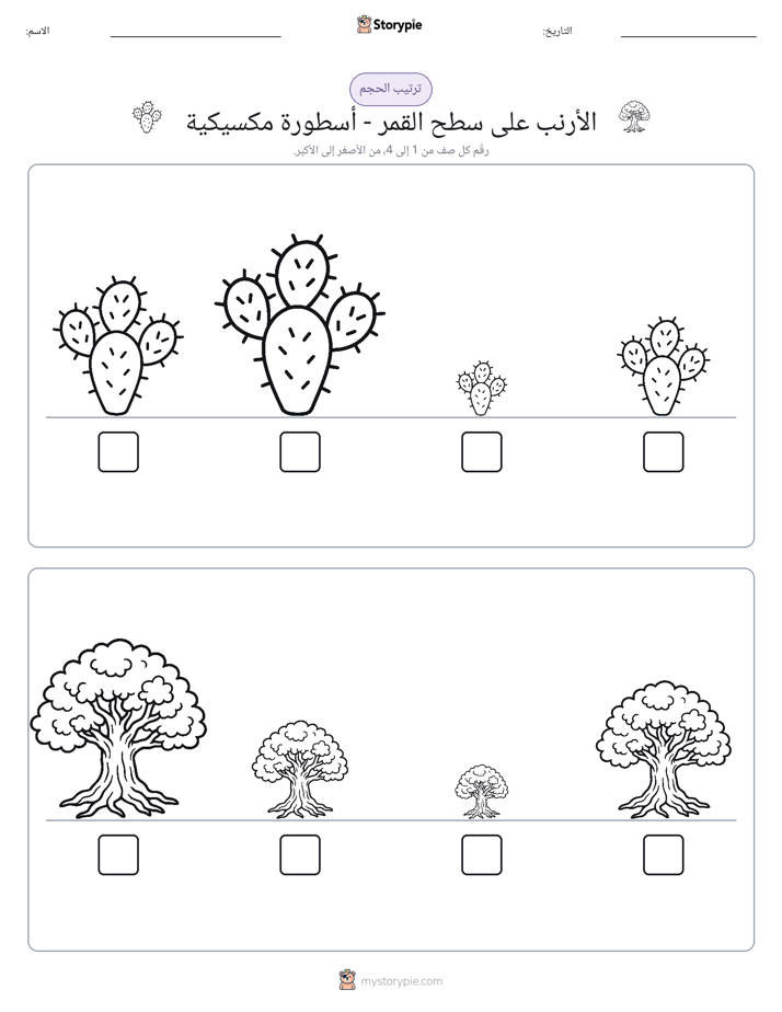 ترتيب الحجم