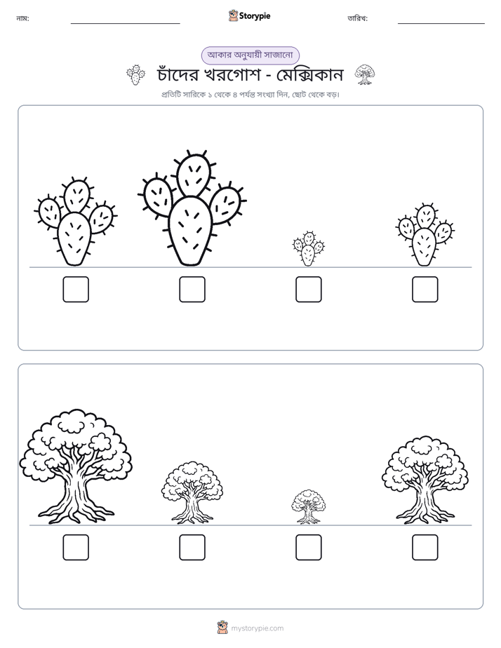 আকারের ক্রম